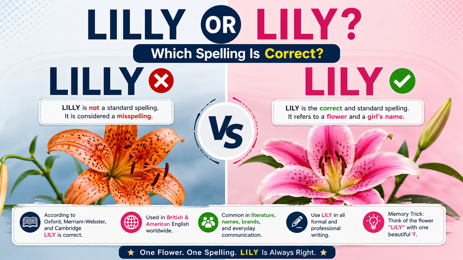 Lily or Lilly
