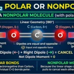 Is CO2 Polar or Nonpolar